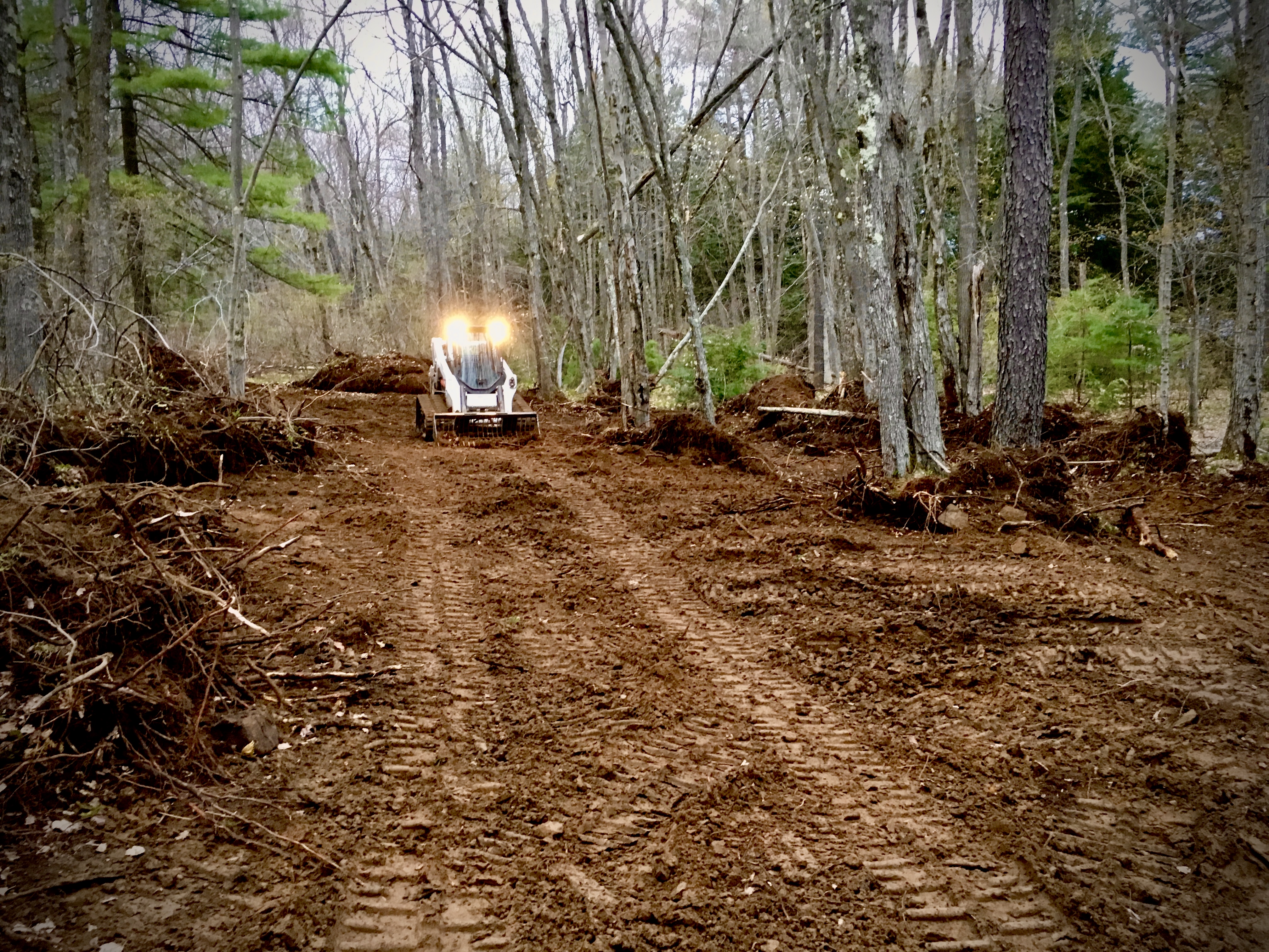 Food Plot Work